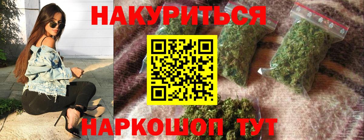 Конопля сатива Ступино